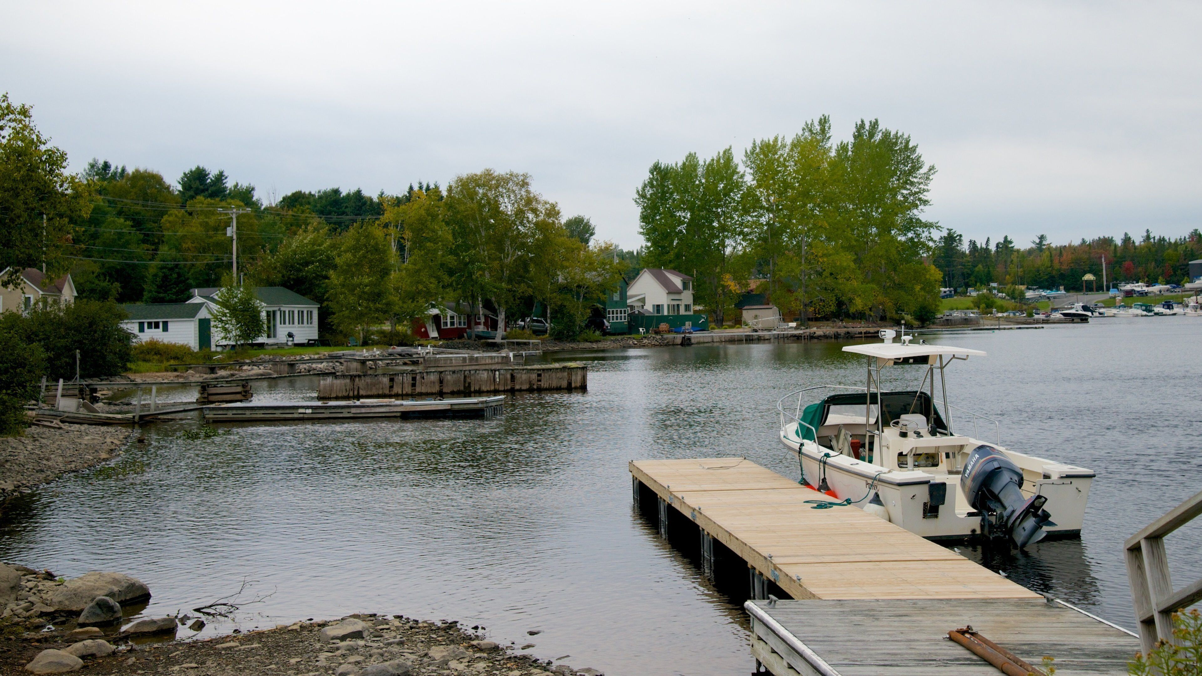 A calm lake with a wooden dock extending into the water, surrounded by houses and trees.