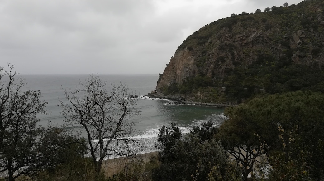 Baia di San Montano in March