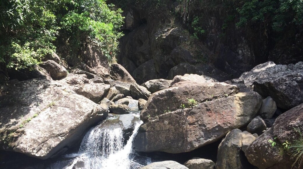 Río Espíritu Santo, El Verde, Río Grande,P. R. #weekendgetaway #puertorico #kidsfun