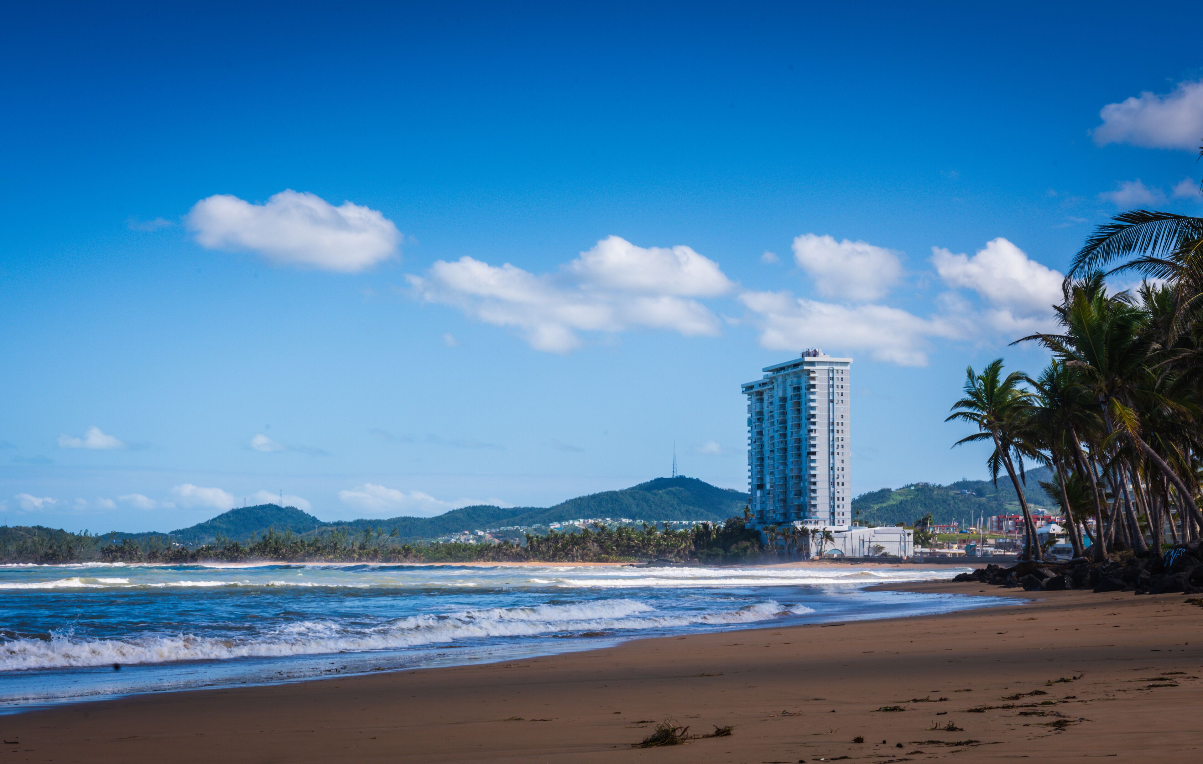 A beach with waves, a tall building, palm trees, and a mountain in the background.