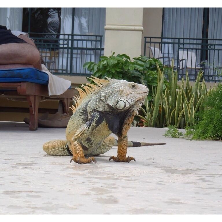 This guy was big!! Not a good company!! 😵😵😵