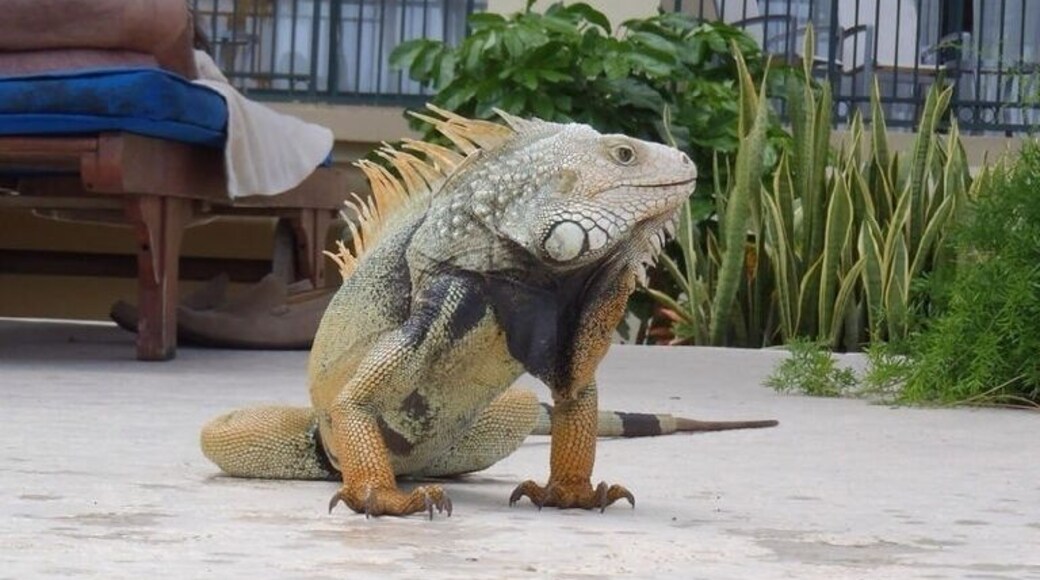 This guy was big!! Not a good company!! 😵😵😵