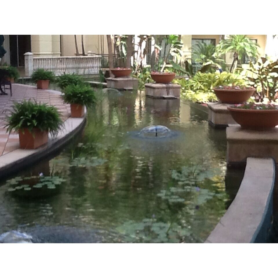 A decorative pond outside the many restaurants!  Beautiful!!