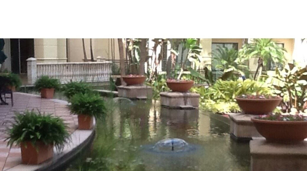 A decorative pond outside the many restaurants! Beautiful!!