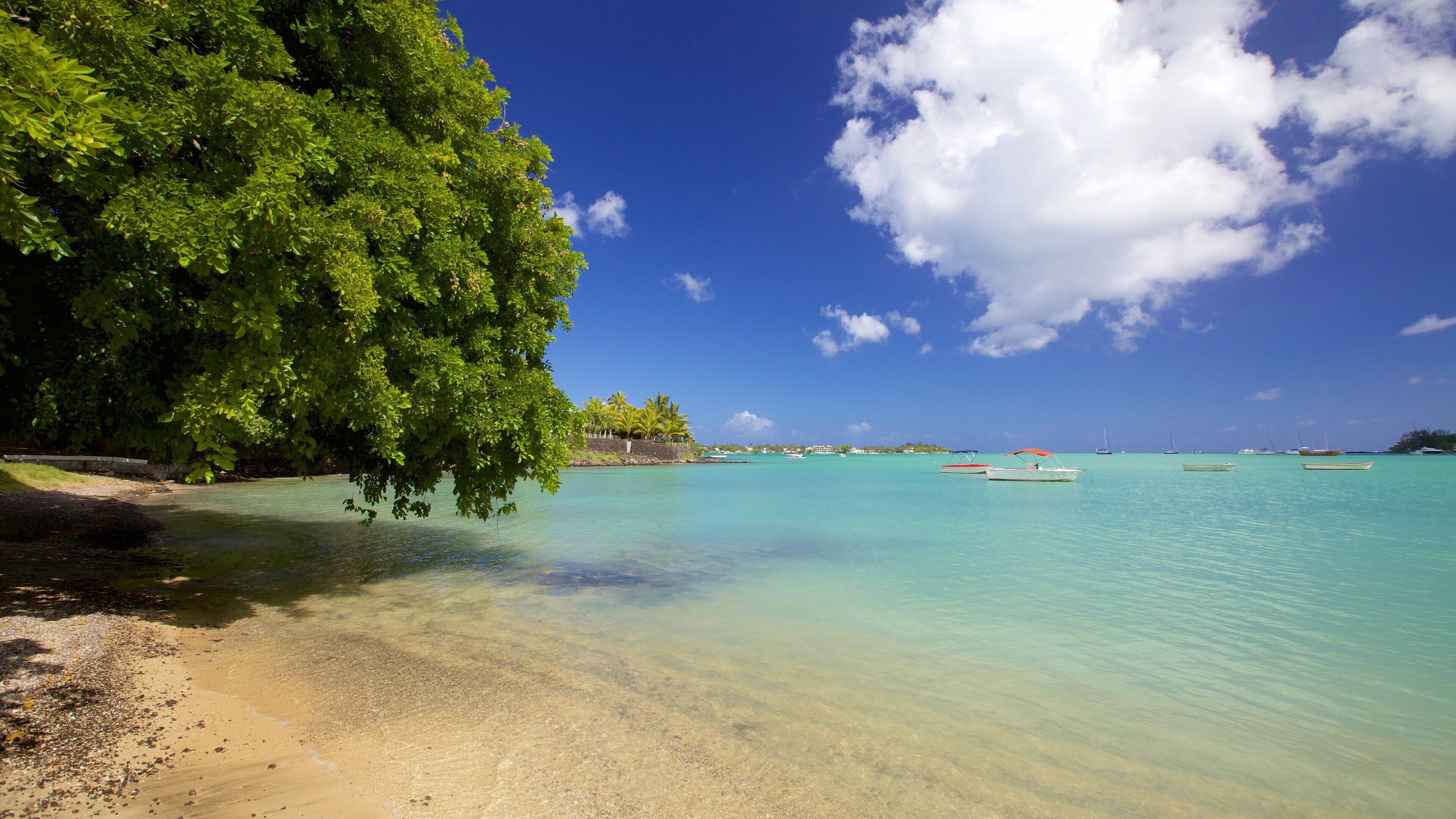 A beach with clear turquoise water, boats, and lush green trees.