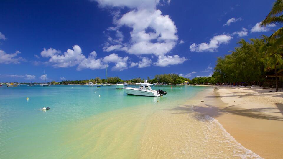 A beach with clear turquoise water, a white boat named 'Moment of Plasencia', and a sandy shore lined with palm trees.