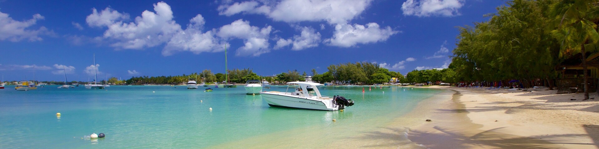 Grand Bay showing a sandy beach and boating