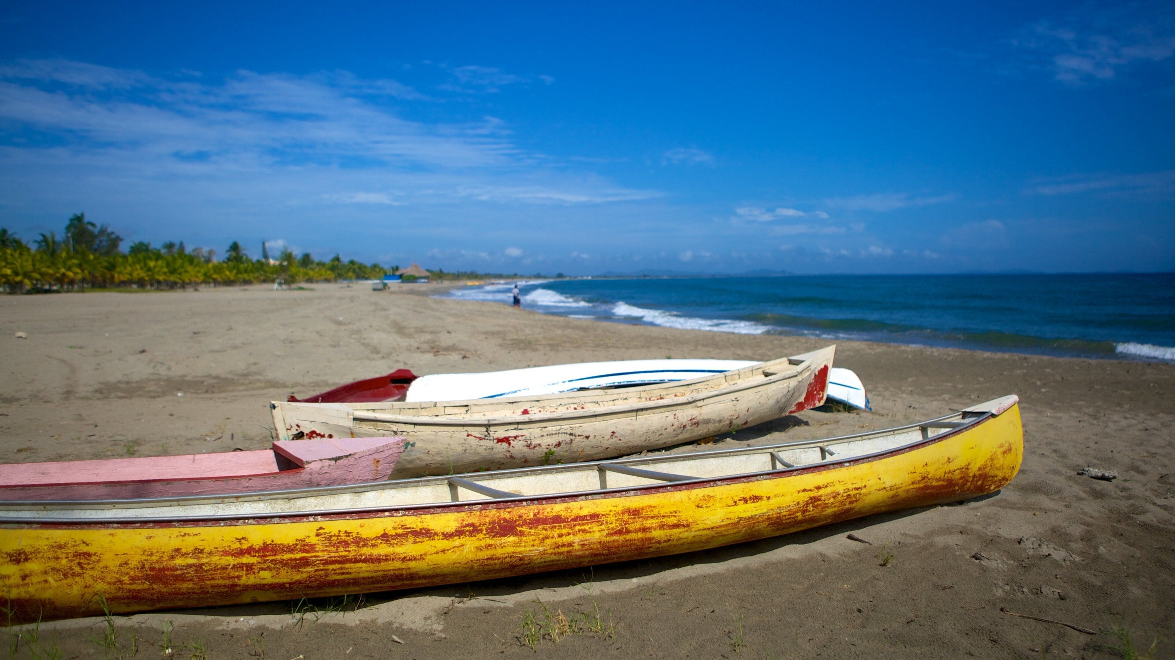 Tela featuring kayaking or canoeing and a beach