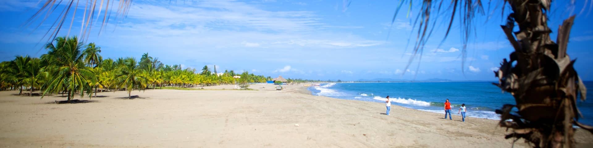 Tela showing tropical scenes, landscape views and a beach