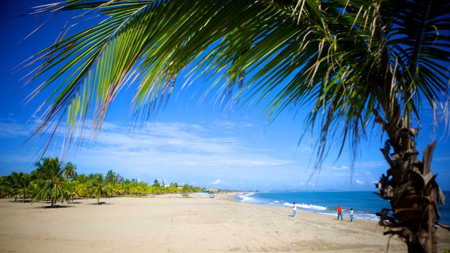 Tela showing tropical scenes, landscape views and a beach