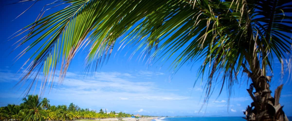 Tela showing tropical scenes, landscape views and a beach