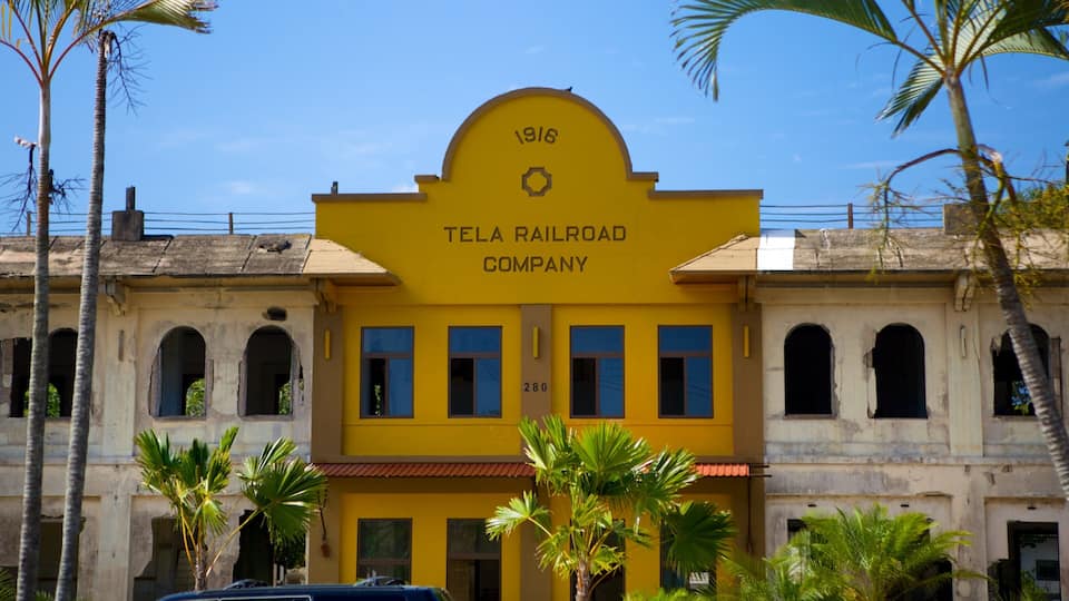 Tela which includes tropical scenes and street scenes