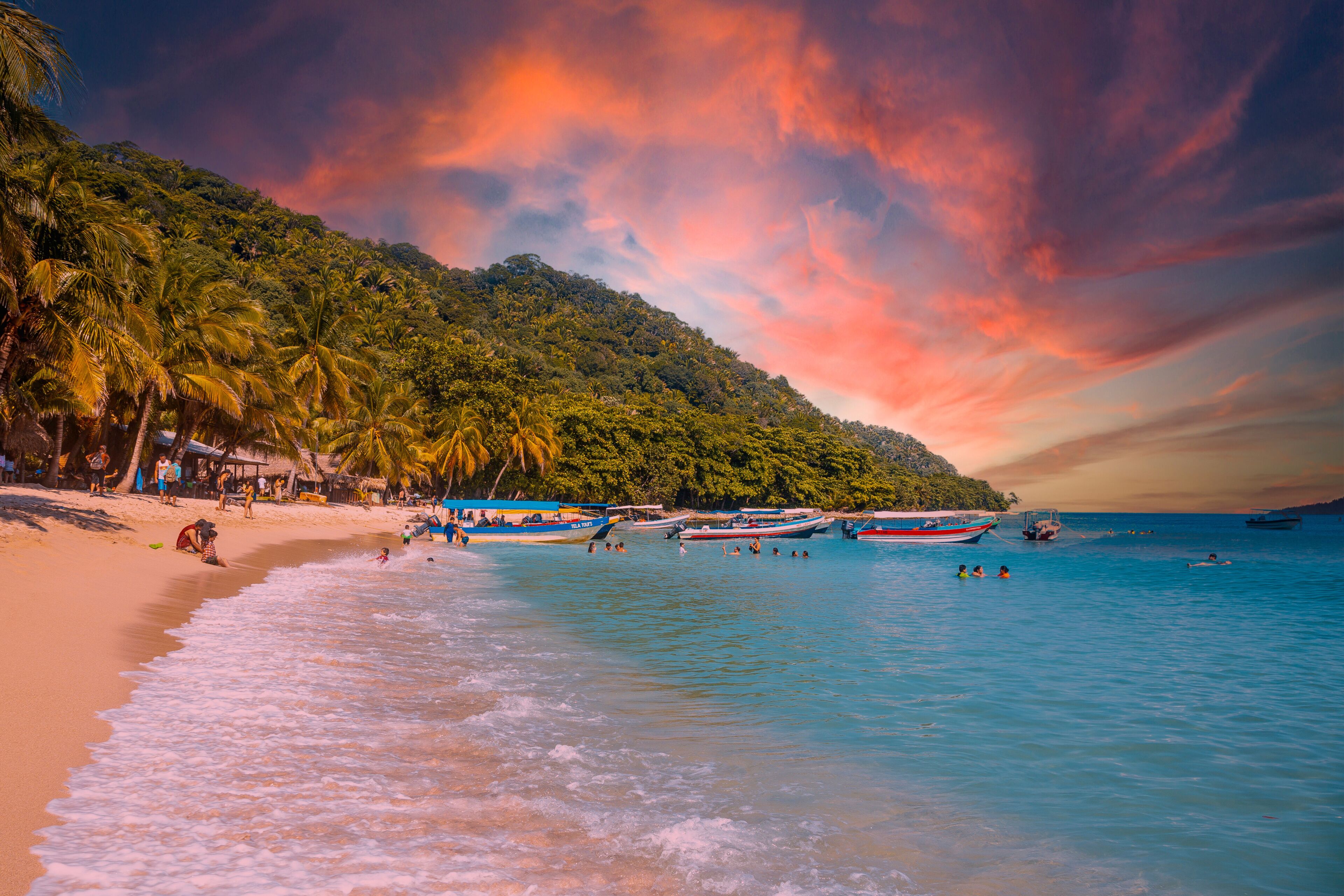 A beach with palm trees, boats, and people.