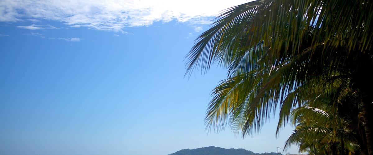 Tela which includes tropical scenes and a sandy beach