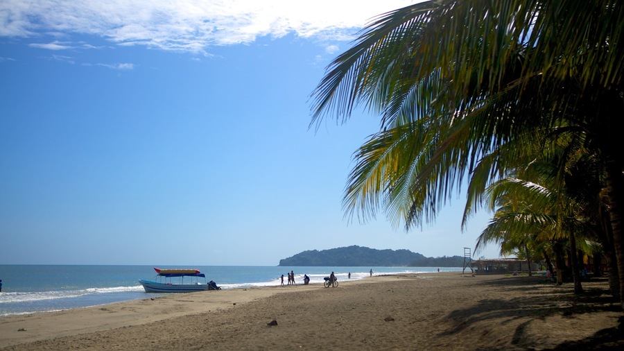 Una playa con un bote, gente y palmeras.