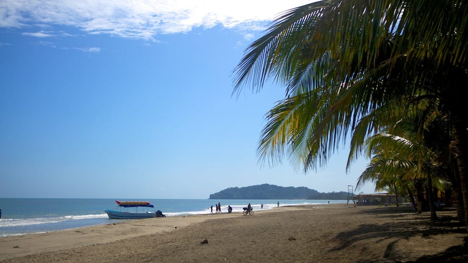 Una playa con un bote, gente y palmeras.