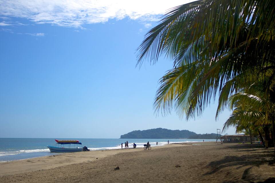 A beach with a boat, people, and palm trees.