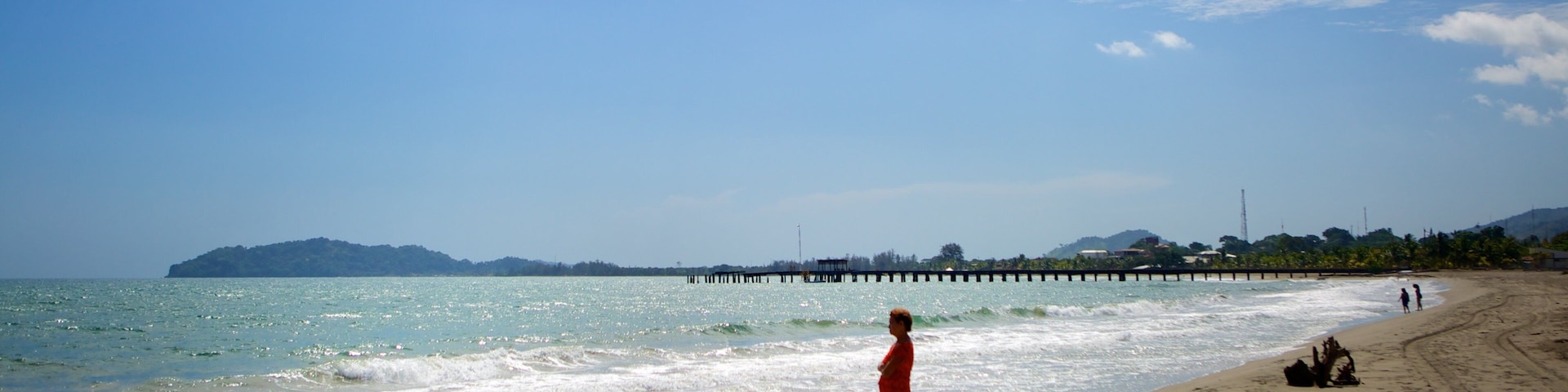 Tela que inclui uma praia e natação assim como um pequeno grupo de pessoas