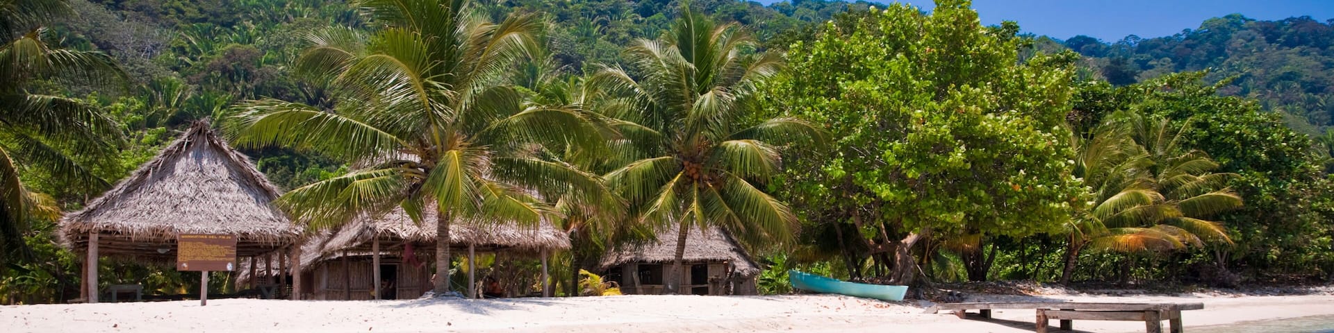 A beach with thatched-roof huts, palm trees, and a clear blue sky.