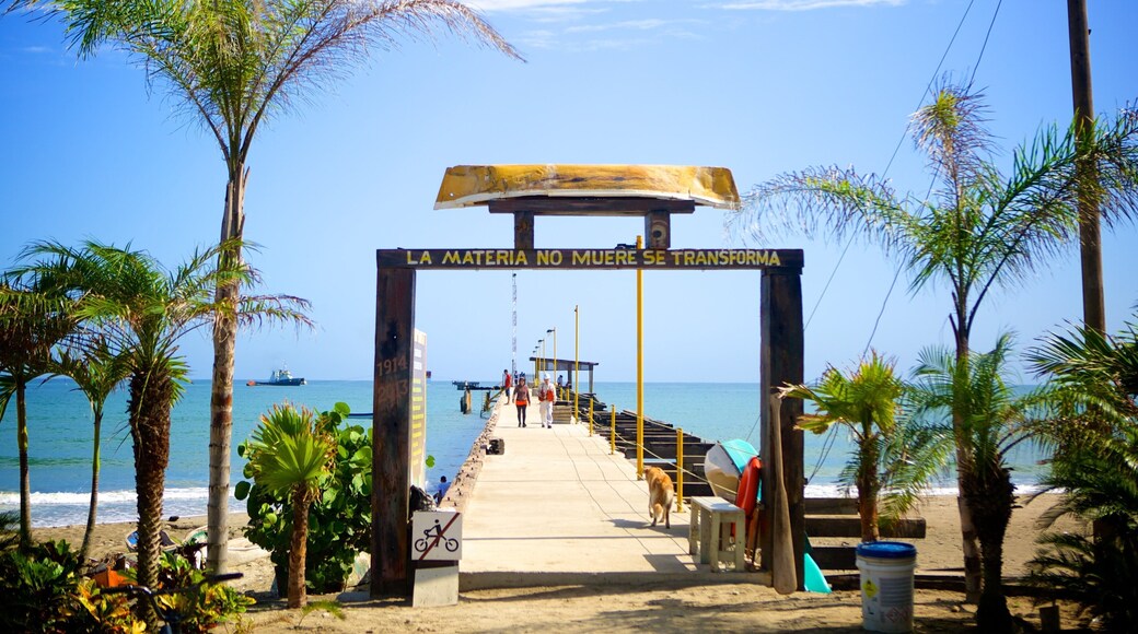 Tela qui includes vues littorales et scĂšnes tropicales