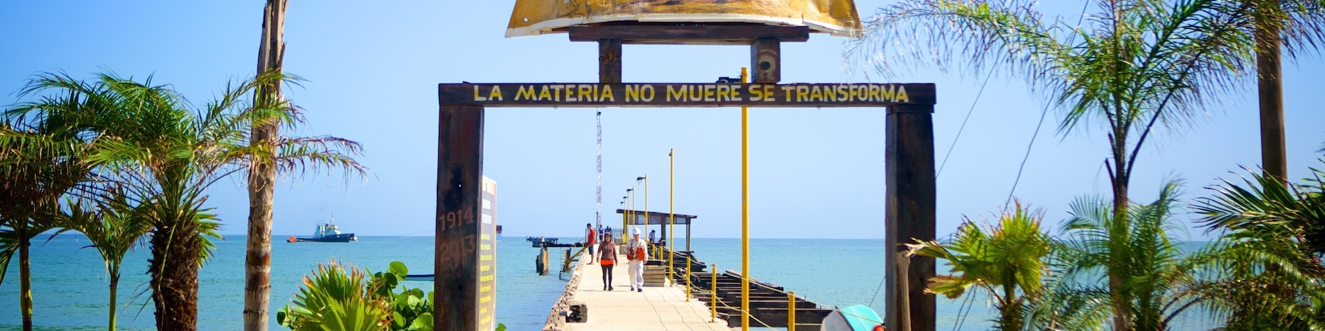 Tela ofreciendo escenas tropicales y vista general a la costa