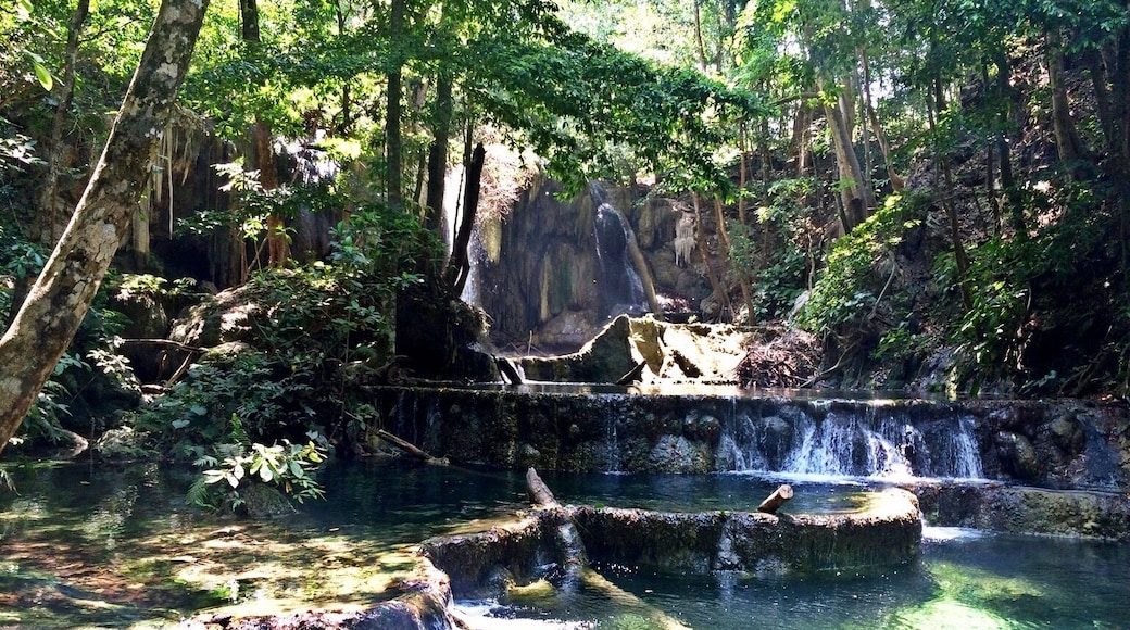 the harmony of nature in Moyo Island Indonesia.