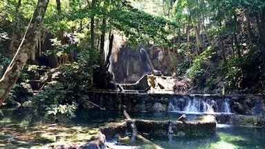 the harmony of nature in Moyo Island Indonesia.