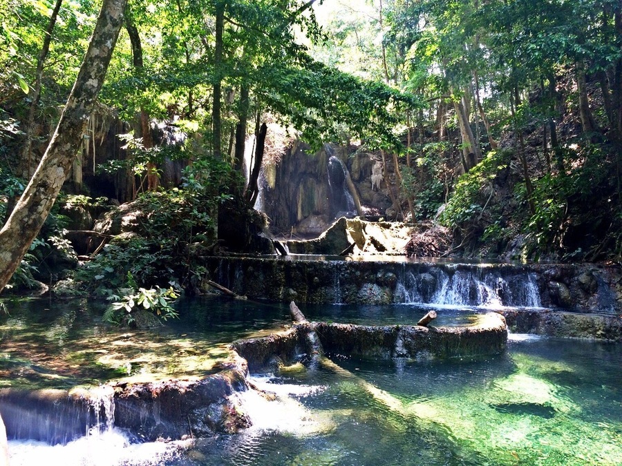 the harmony of nature in Moyo Island Indonesia.