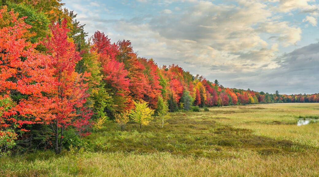 Vivid autumn colors in the Michigan Upper Peninsula near Ironwood - scenic drive on US Highway 2,