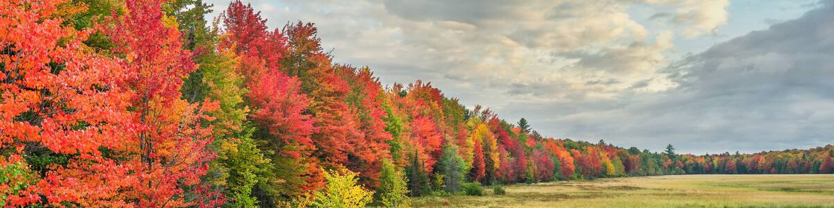 Vivid autumn colors in the Michigan Upper Peninsula near Ironwood - scenic drive on US Highway 2,