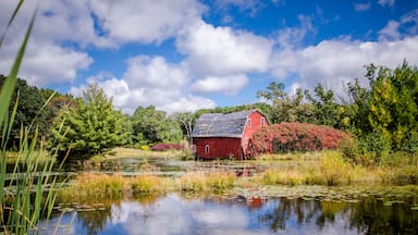 An abandoned red sinking barn sinks into a lake near Zimmerman, Minnesota