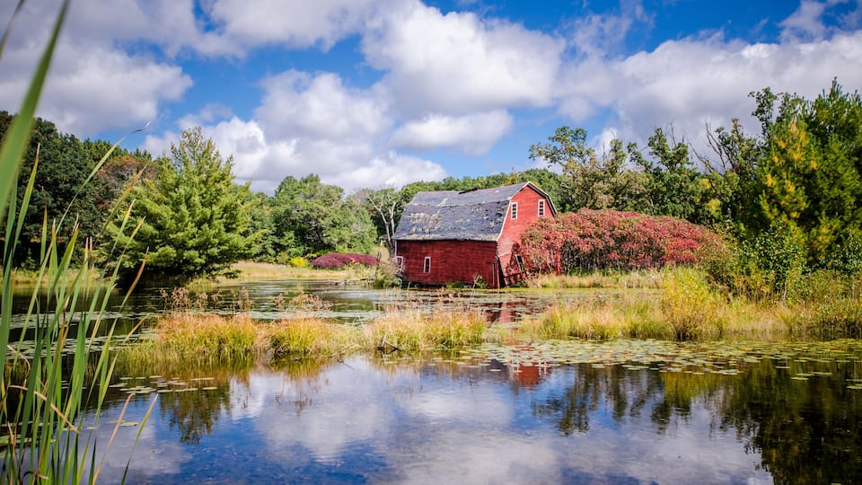 A red barn by a calm pond with lush greenery and a clear blue sky.