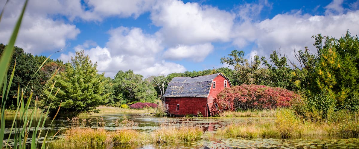 A red barn by a calm pond with lush greenery and a clear blue sky.
