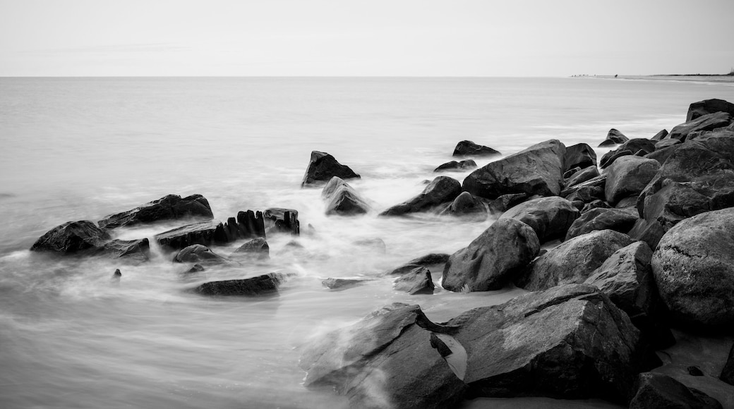 Before the First Light