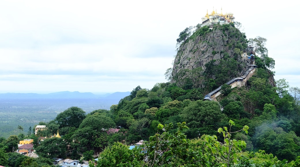 0_bf116101-0119-4aeb-9062-118cb38b5c33_raw