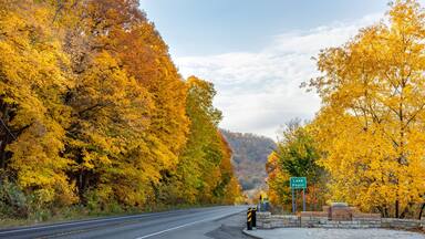 Highway 61 in the fall is a scenic drive along Lake Pepin and the Mississippi River where bald eagles and wildlife are commonly spotted on a highway rich in history and landmarks