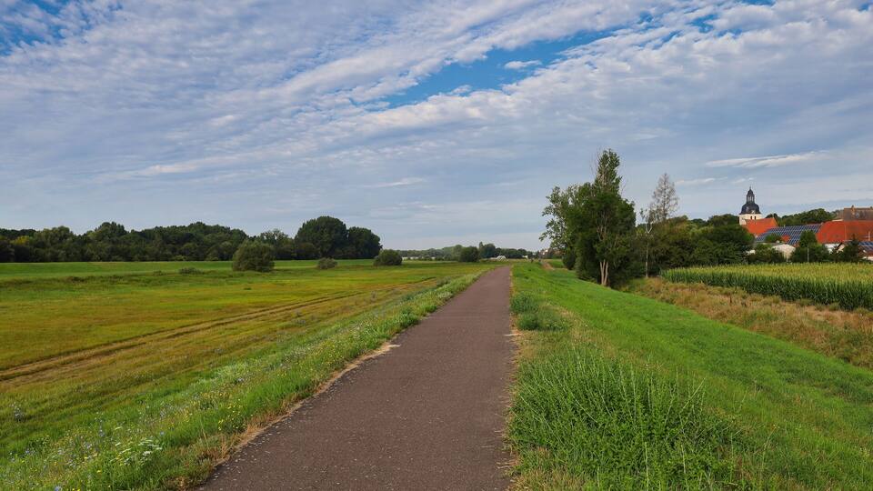 A rural pathway flanked by fields and a church with a dome.