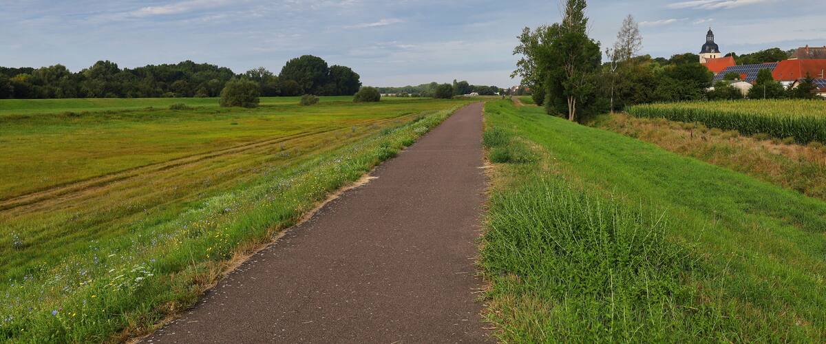 A rural pathway flanked by fields and a church with a dome.