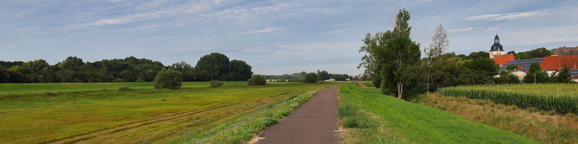 A rural pathway flanked by fields and a church with a dome.