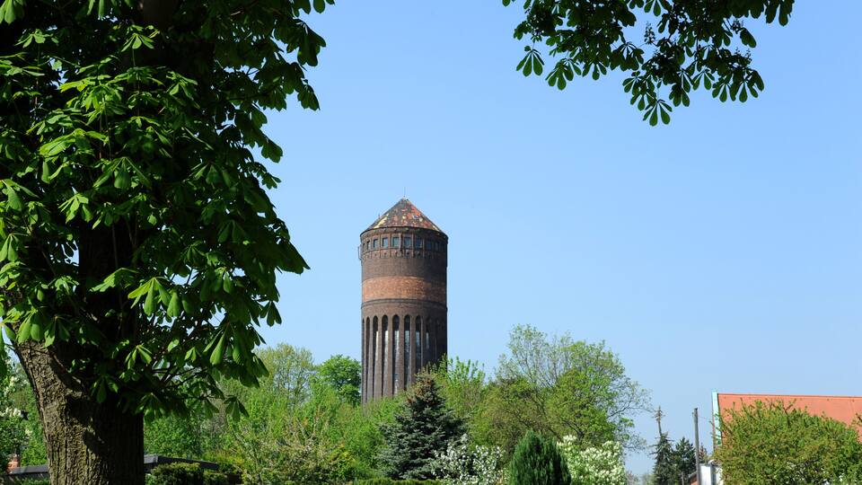 A historic water tower surrounded by lush greenery and trees.