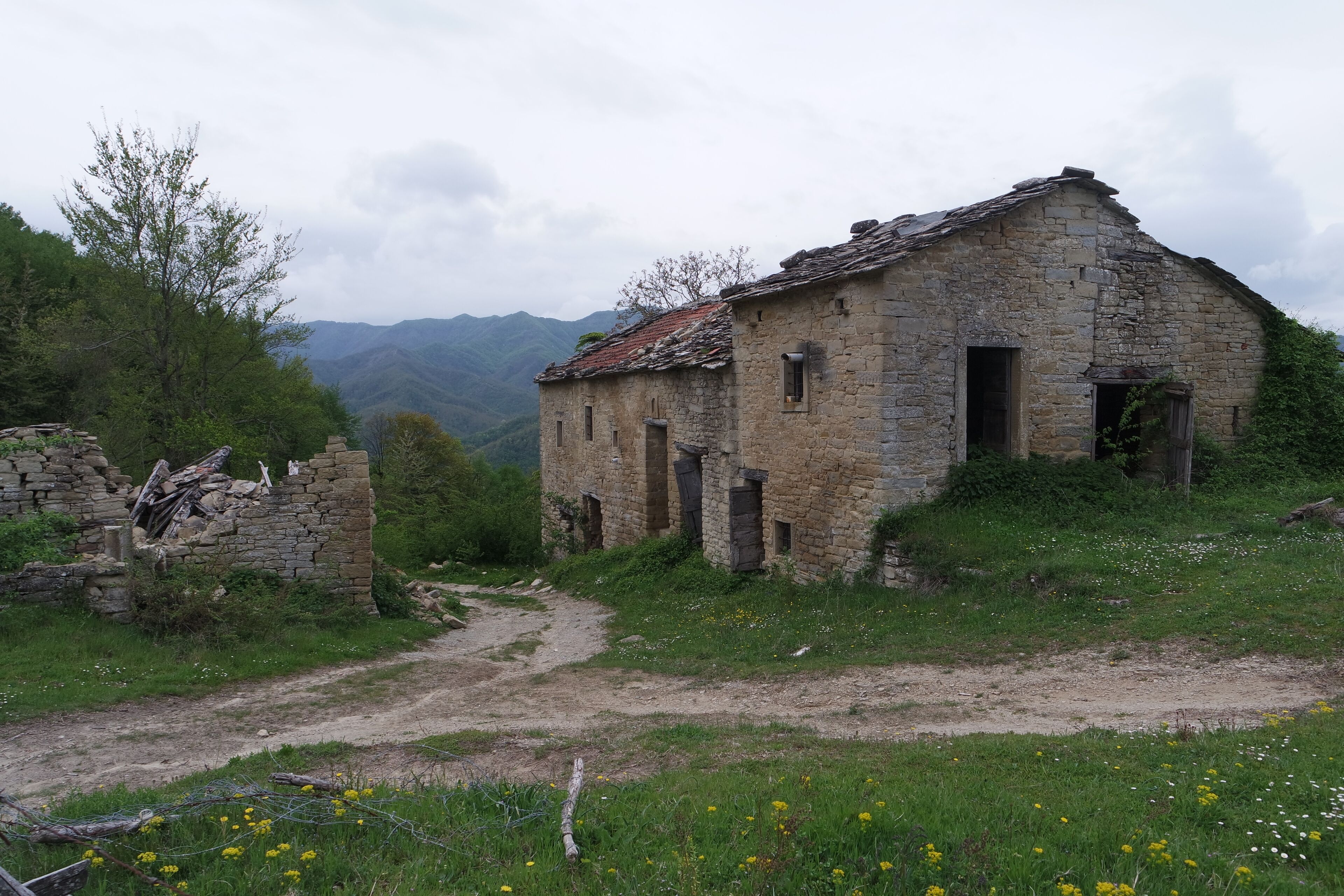 ruderi sul Prevaligo