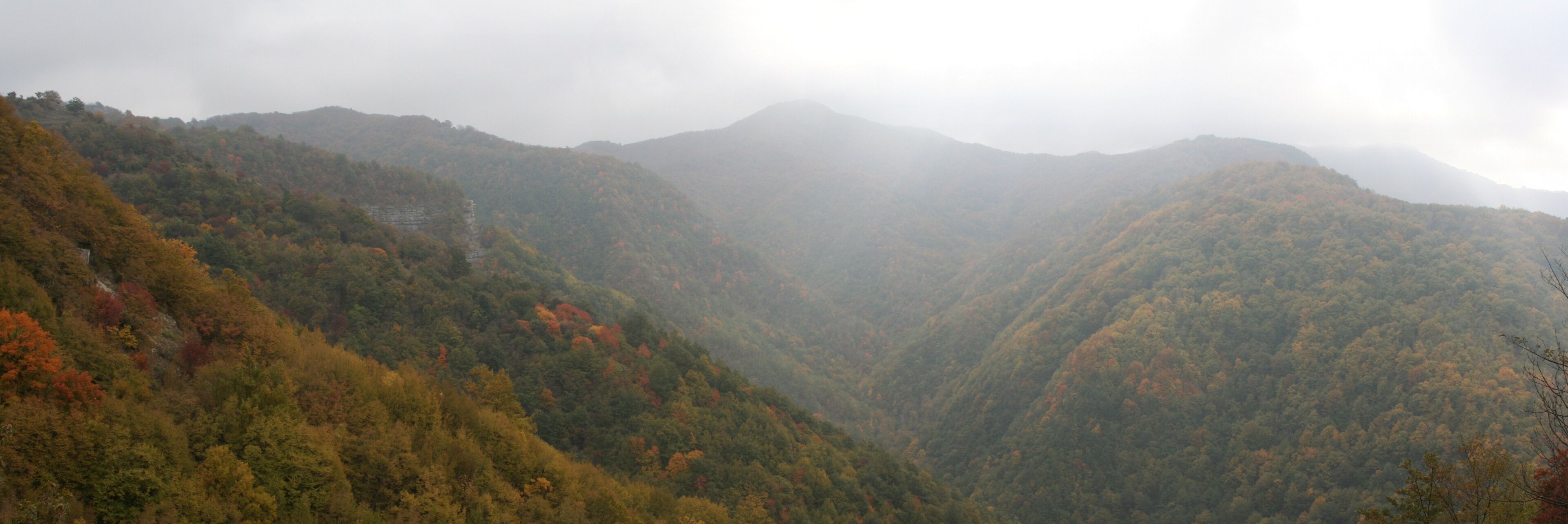 A valley with autumn-colored trees and mist-covered mountains.