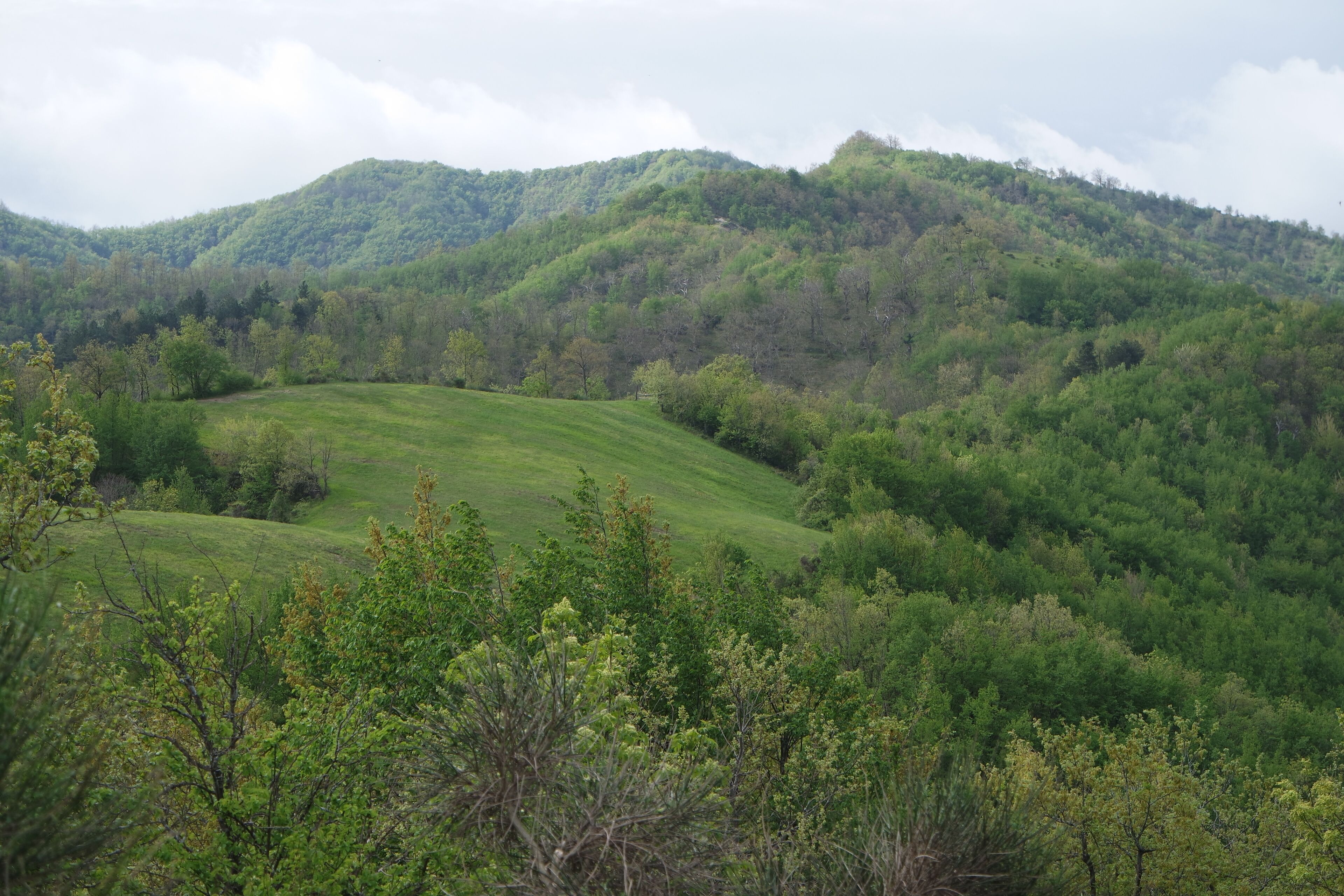primavera sul Prevaligo