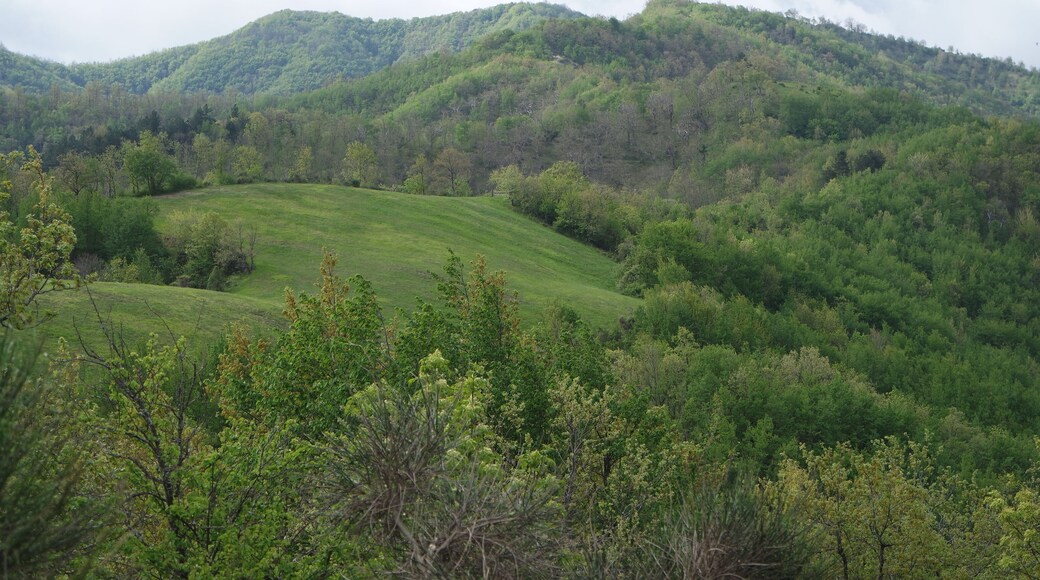 primavera sul Prevaligo