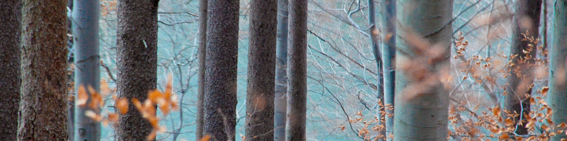 Green and gold hills near Ustroń, Poland. Gray-blue Vistual river in background