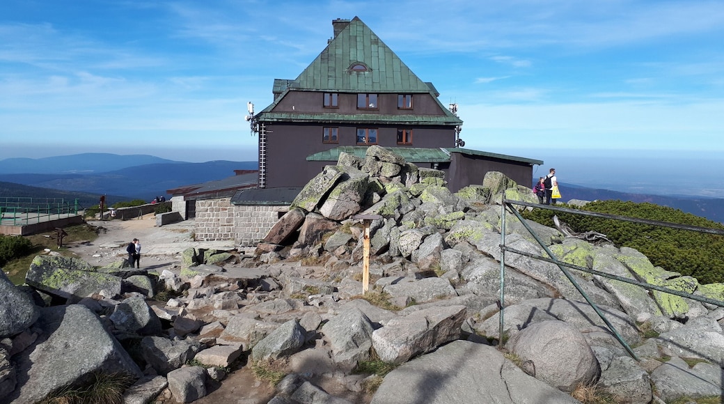 Przepięknie polecam