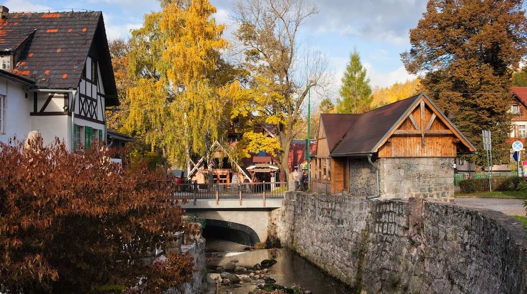 زكلارسكا بوريبا