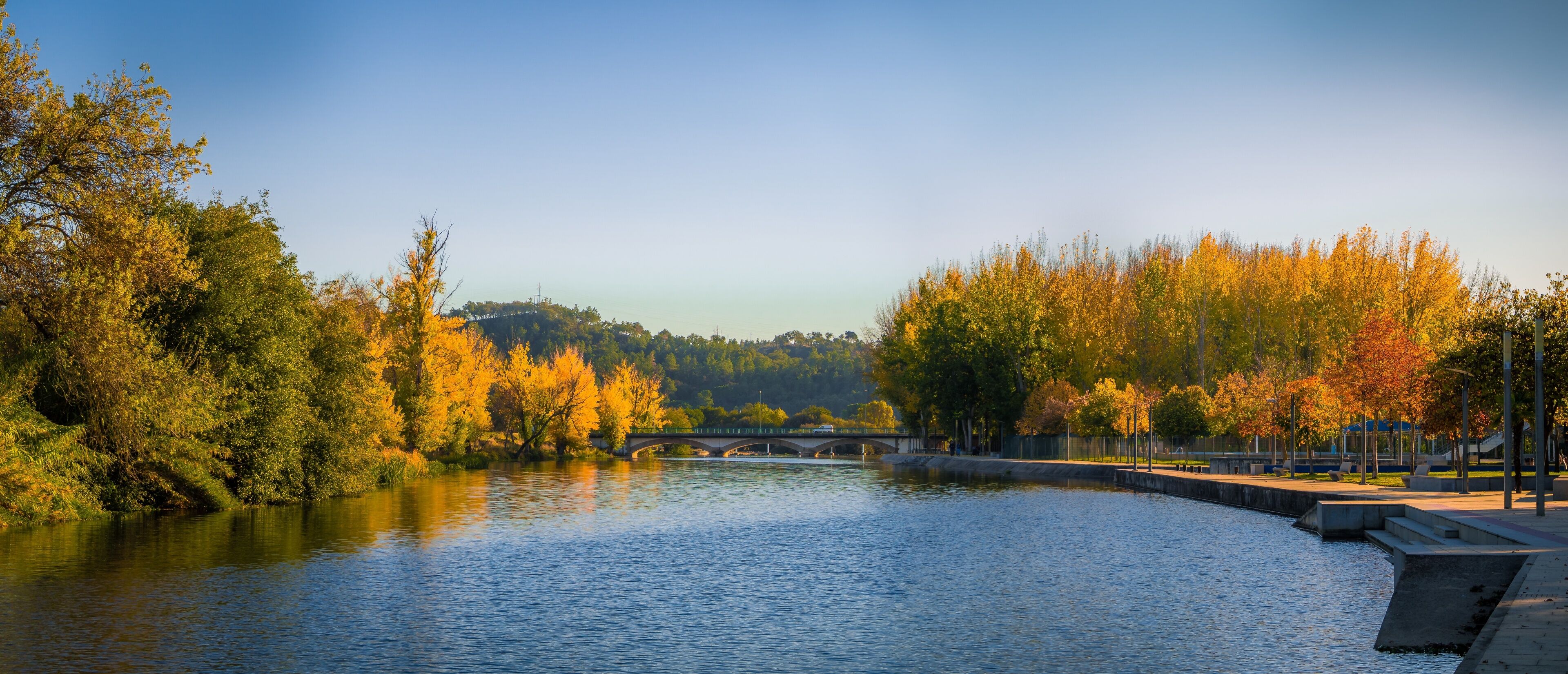 A river with autumn foliage, a bridge, and a park with benches.