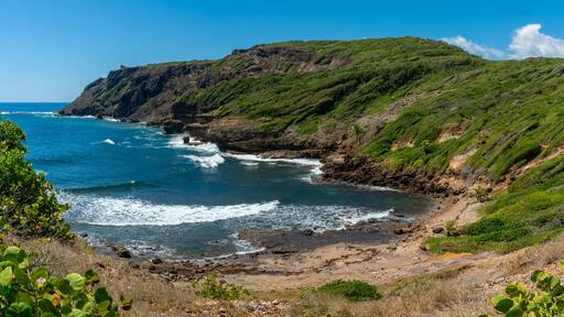 View over coast and cliffs of Presqu'Île de la Caravelle a nature reserve on Martinique