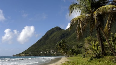 France, Martinique, le Diamant, le morne Larcher